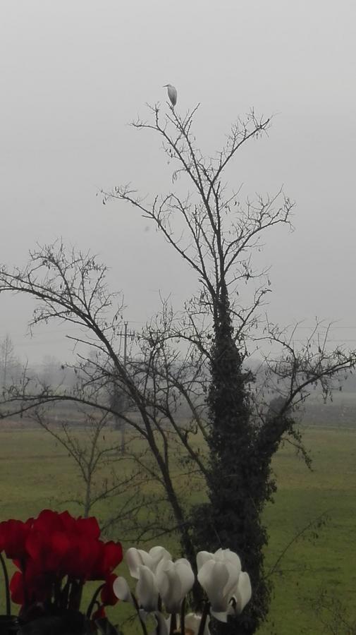 Residenza Airone Vendégház Vicenza Kültér fotó